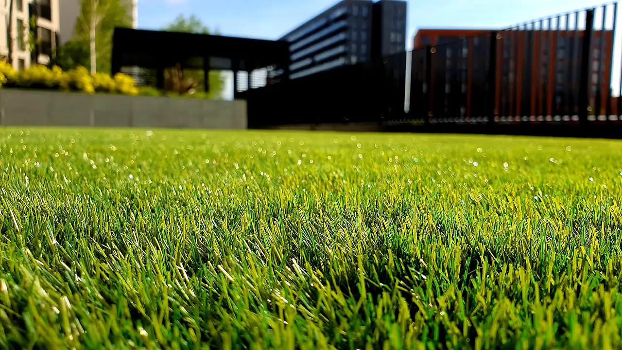 Professional lawn mowing